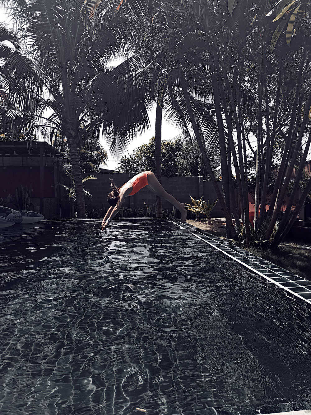millydive